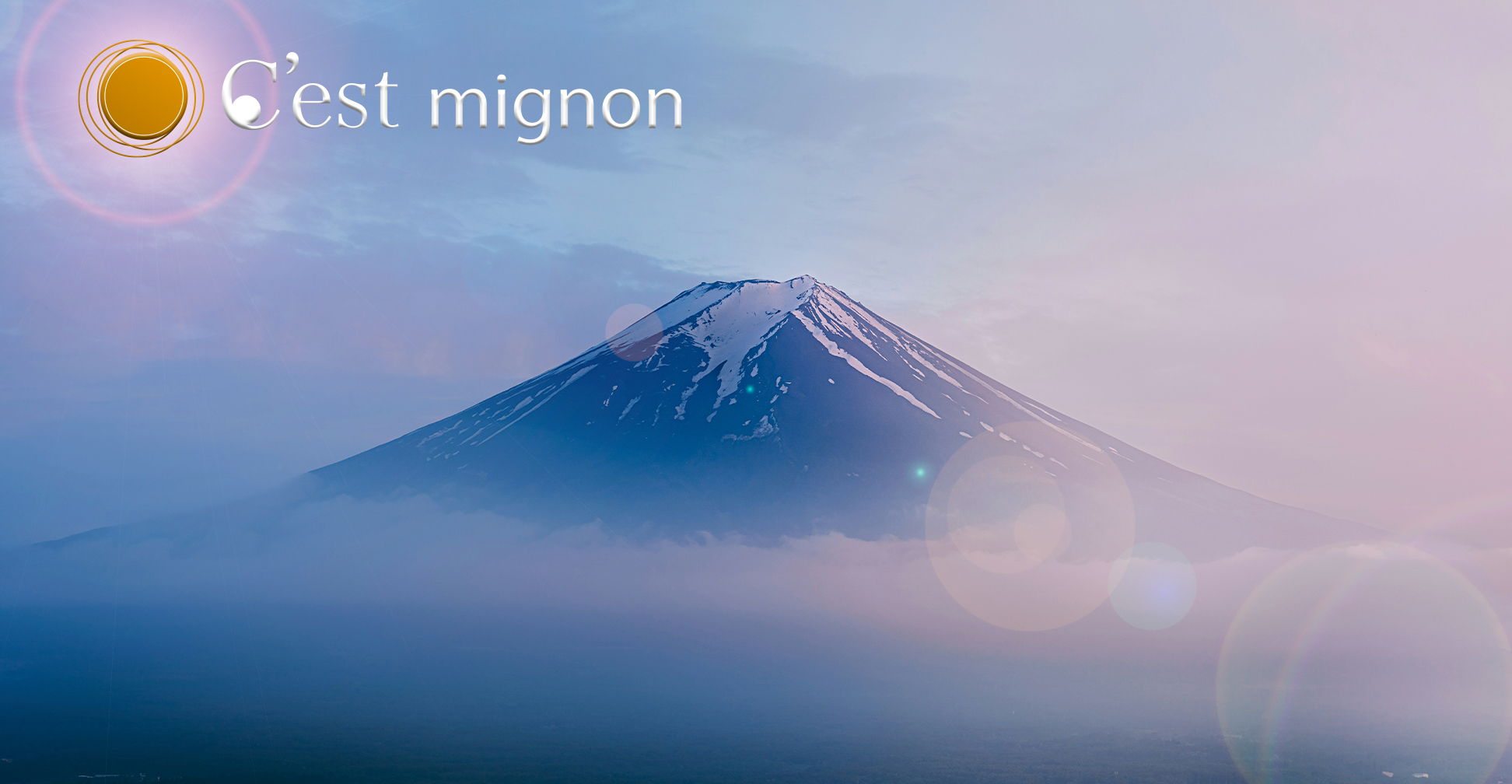 C'est mignon 製品一覧